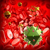 HIV virus particles in the blood, illustration