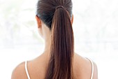 Woman with pony tail, rear view