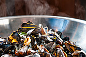 Steaming Mussels
