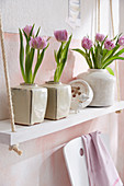 Tulpen in Keramikvasen auf Regal