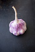 Purple garlic