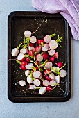 Radishes on a baking tray