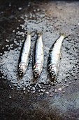 Three fresh anchovies on coarse salt