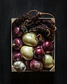 Rohe Zwiebeln, getrocknete Peperoni und Knoblauch in einer Steige