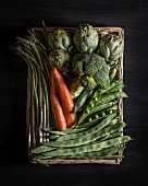Asparagus, carrots, artichokes, broccoli, peas and broad beans in a basket