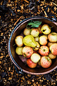 Birne und Äpfel in einem Kupfereimer