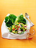 Raw Vegetable Summer Salad