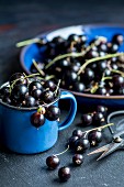 Schwarze Johannisbeeren in Becher und Schüssel