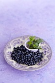 Wild blueberries and wild herbs on a plate