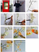 Instructions for painting a cupboard with floral ornaments