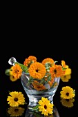 Fresh marigolds in a glass mortar