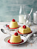 Panna cotta with yoghurt and turmeric on raspberry coulis