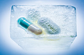 Capsules frozen in a block of ice