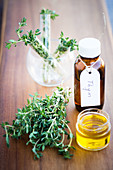 Essential oil of thyme (Thymus vulgaris)