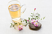 Bindweed herbal tea (Convolvulus arvensis)