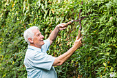 Senior man gardening