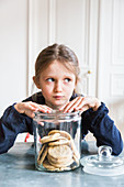 6 year-old girl reaching into a jar of cookies