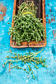 Thyme (Thymus vulgaris)