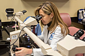 Pathologist using a microscope