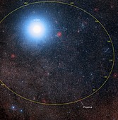 Future orbital path of Proxima Centauri
