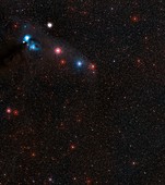 Region around neutron star RX J1856.5-3754