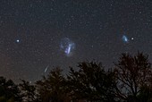 Large and Small Magellanic Clouds over trees