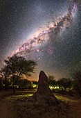 Milky Way over a termite mound, Namibia