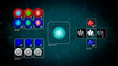 The Standard Model, illustration