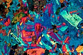 Polarised LM of a thin section of diorite