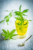 Lemon verbena tea