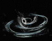 Merging black holes, illustration