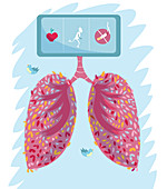 Healthy lungs, illustration