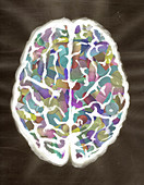 Illustration of human brain filled with capsules
