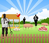 Illustration of poultry business