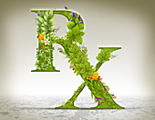 Illustration of RX symbol made of herbs