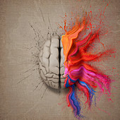 Human brain with multicoloured paint, illustration