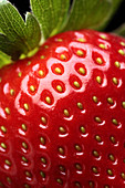 Strawberry, close up