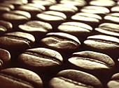 Coffee beans, close up