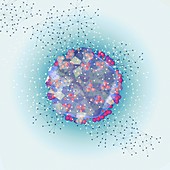 HIV virus, illustration