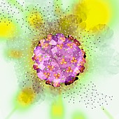 HIV virus, illustration