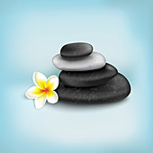 Spa stones and tropical flower, illustration