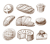 Bread and pastries, illustration