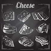 Cheeses, illustration