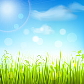 Grass and blue sky, illustration