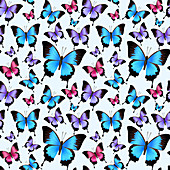 Butterflies, illustration