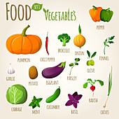 Vegetables, illustration