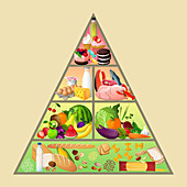 Food pyramid, illustration