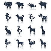 Farm animal icons, illustration