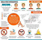 Ebola disease, illustration