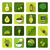 Olive oil icons, illustration